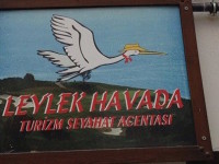 Eskişehir’de Bir Leylek… Hem De Havada!