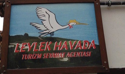 Eskişehir’de Bir Leylek… Hem De Havada!