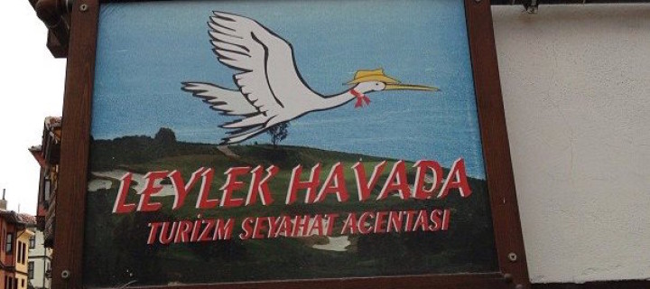 Eskişehir’de Bir Leylek… Hem De Havada!