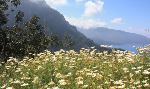 Doğa ve Renkleri