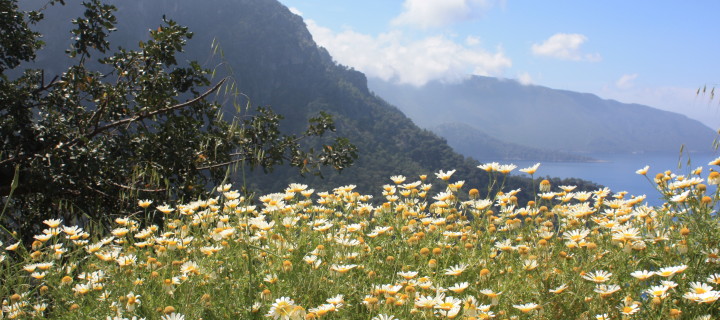 Doğa ve Renkleri