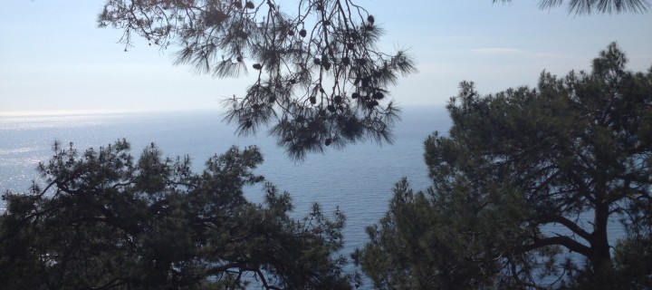 Acemi Yürüyüşçünün Güncesi 2 – Fethiye – Kabak – Cennet Koyu