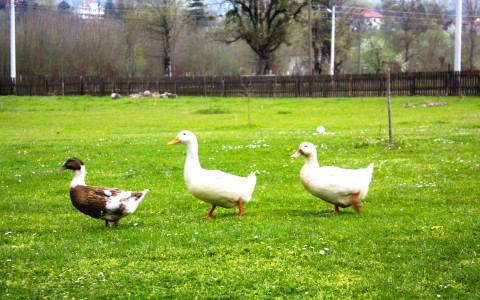 Doğanın Muhteşem Uyumu