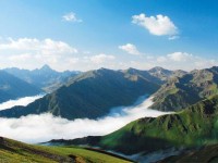 Karadeniz Ölüyor! ‘Yeşil Yol Projesi’