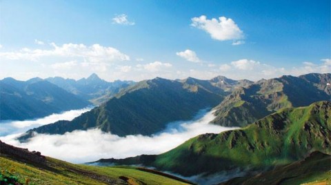 Karadeniz Ölüyor! ‘Yeşil Yol Projesi’