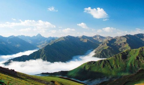 Karadeniz Ölüyor! ‘Yeşil Yol Projesi’