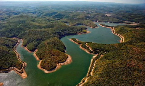 Longoz Ormanlarına ‘3’ Kala İğneada