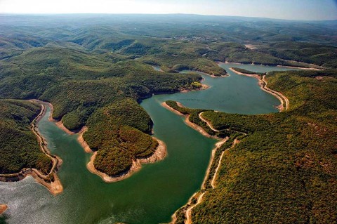 Longoz Ormanlarına ‘3’ Kala İğneada