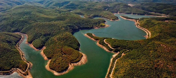 Longoz Ormanlarına ‘3’ Kala İğneada